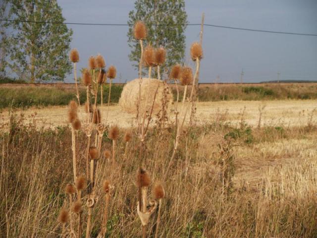 20120923 Kerékpártúra Dévaványára 163